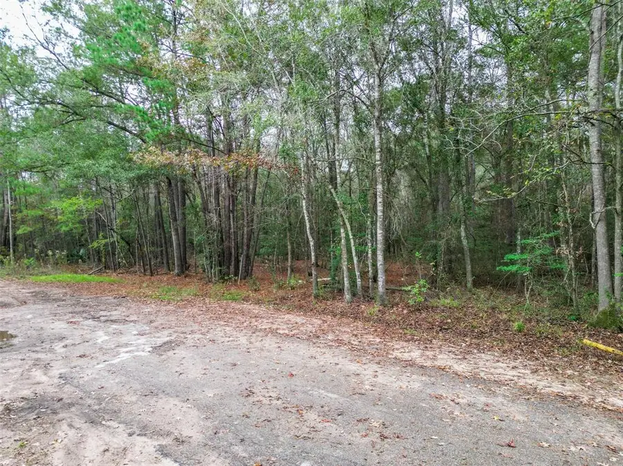 TBD N Westwood, Conroe, TX 77302 - Image #3