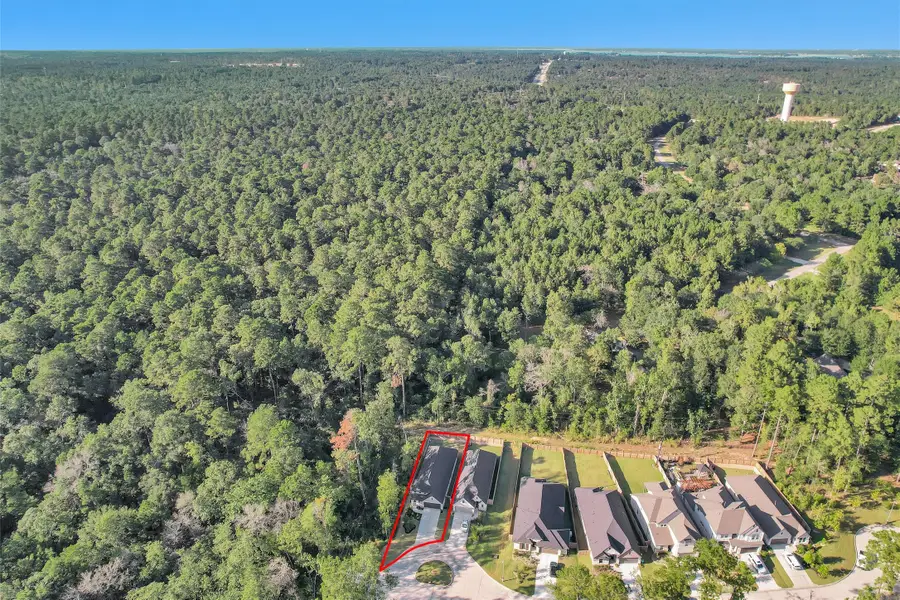 340 Water Tupelo Drive, Montgomery, TX 77316 - Image #2