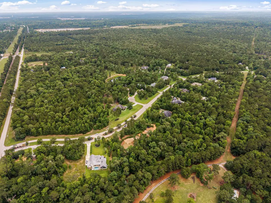 23506 High Meadow Estates Drive, Montgomery, TX 77316 - #2