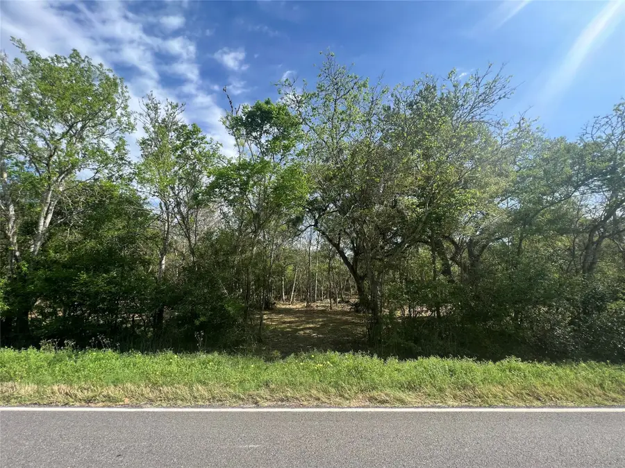 10186 County Road 400, Brazoria, TX 77422 - Image #3