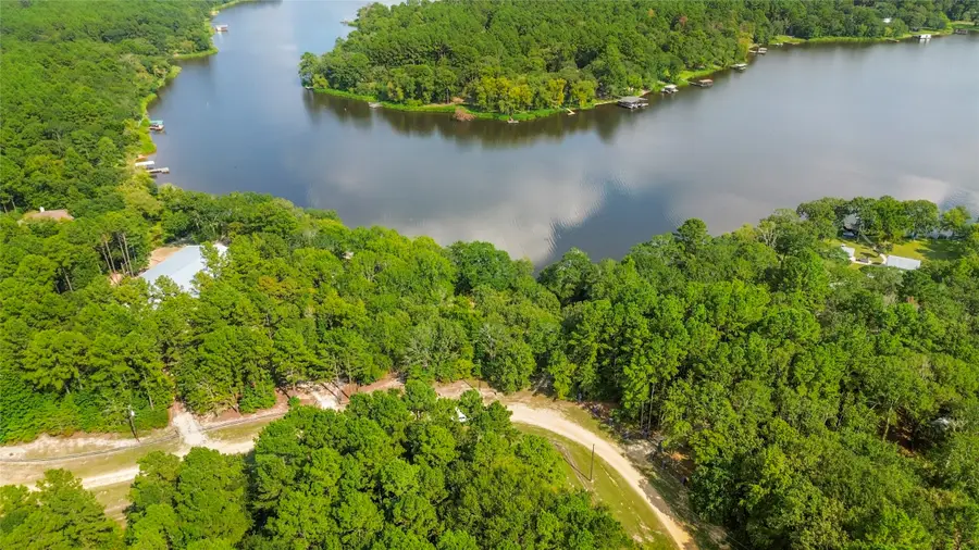 0 Pine Island Cove Road, Grapeland, TX 75844 - Image #2