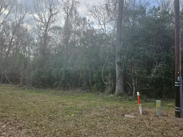 0 Winding Creek Drive, Shepherd, TX 77371