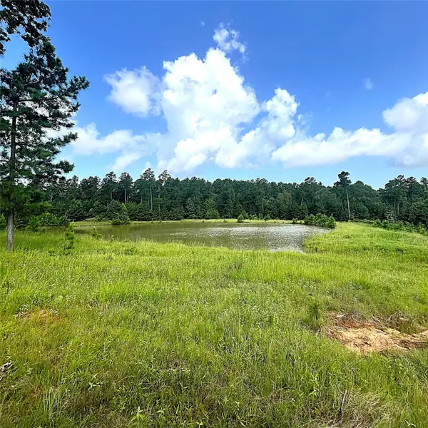 11833 Fm 1119, Leona, TX 75850