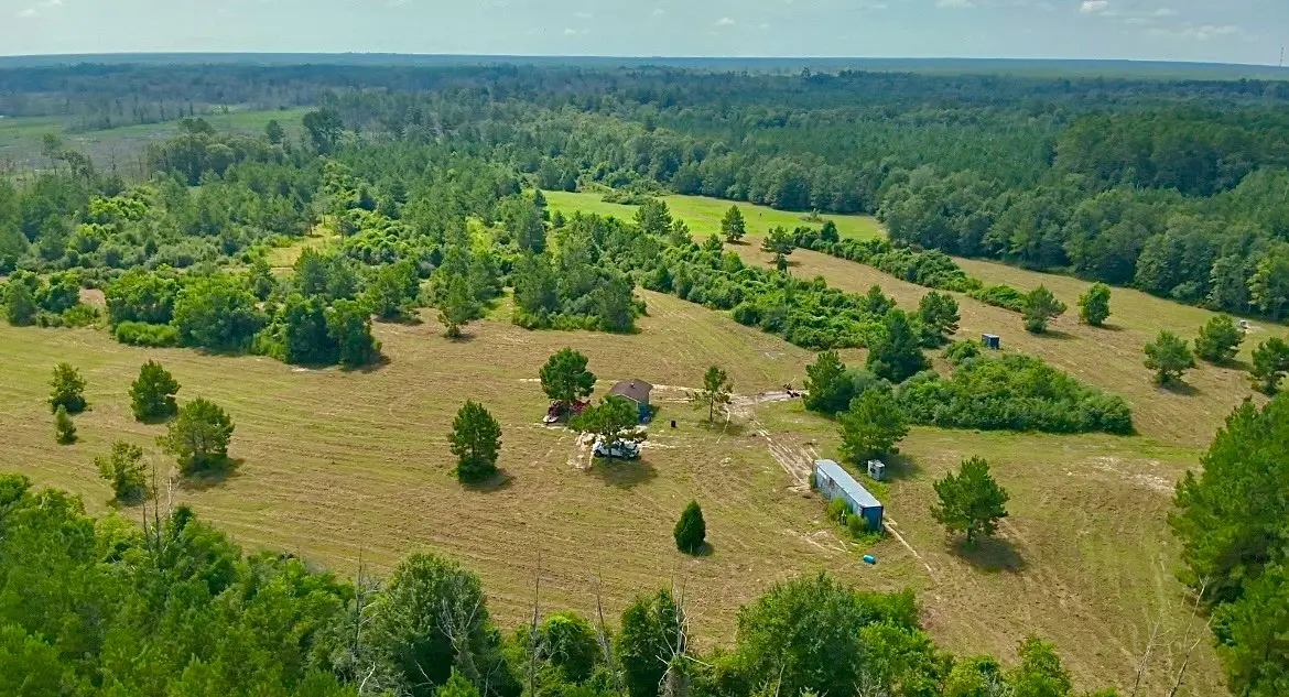 81363 George Sanner Rd, Village Mills, TX 77663 - #1