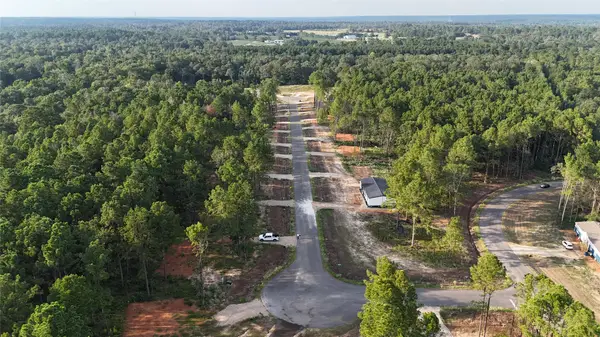 11357 Annie Creek Drive, Willis, TX 77378