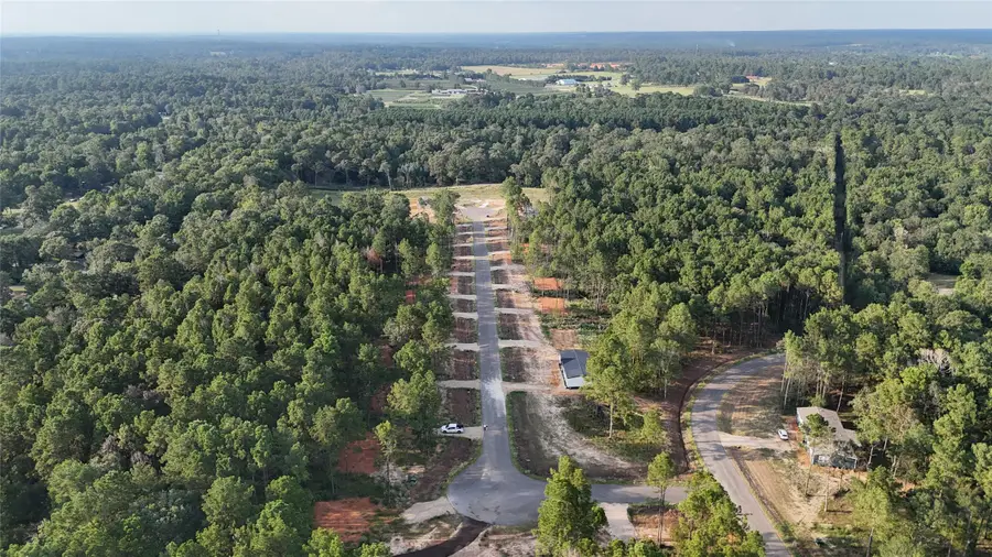 11357 Annie Creek Drive, Willis, TX 77378 - Image #3