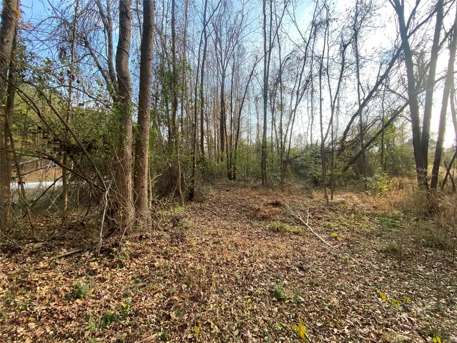 0 Danburg Road, Washington, GA 30673 - Image #2