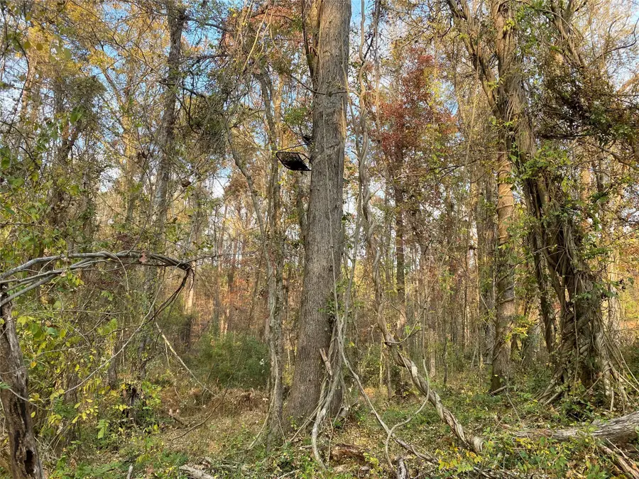 0 Danburg Road, Washington, GA 30673 - Image #3