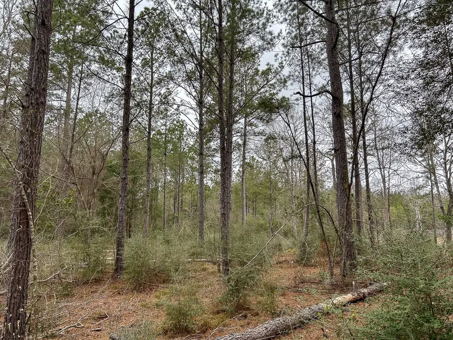 TBD Cr 4520, Warren, TX 77664 - #3