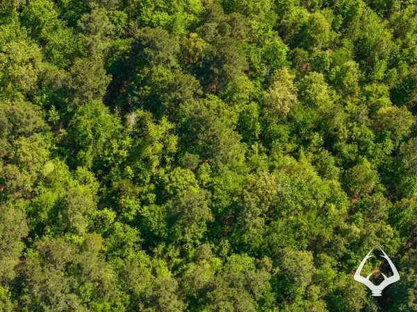 TBD County Road 4188, Henderson, TX 75654