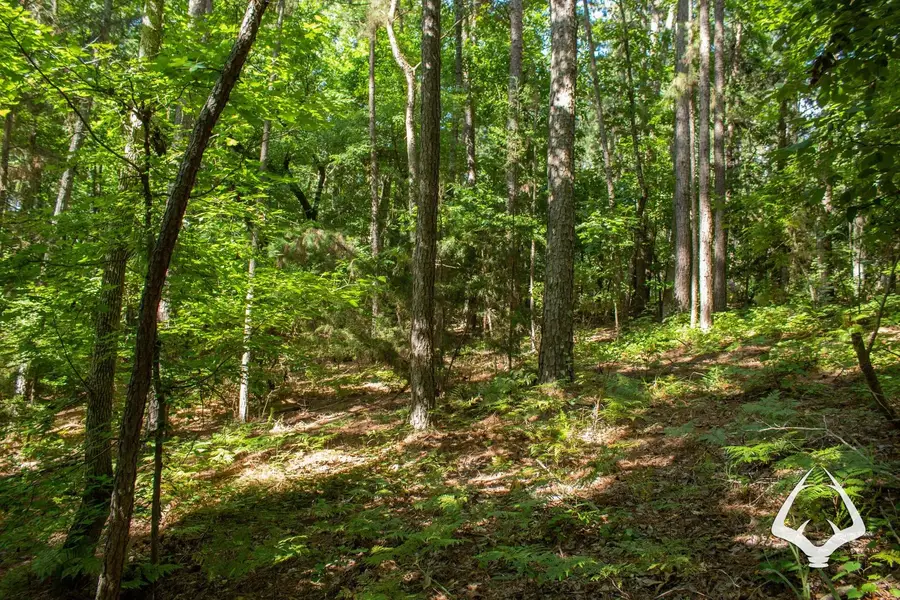 TBD County Road 4188, Henderson, TX 75654 - Image #2