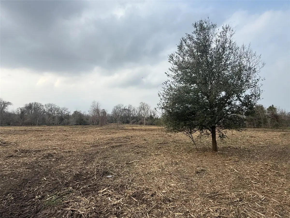 Lot 10 County Road 30, Angleton, TX 77515 - #1