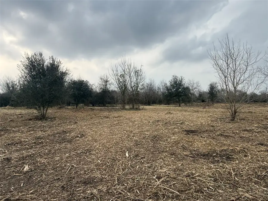Lot 10 County Road 30, Angleton, TX 77515 - #3