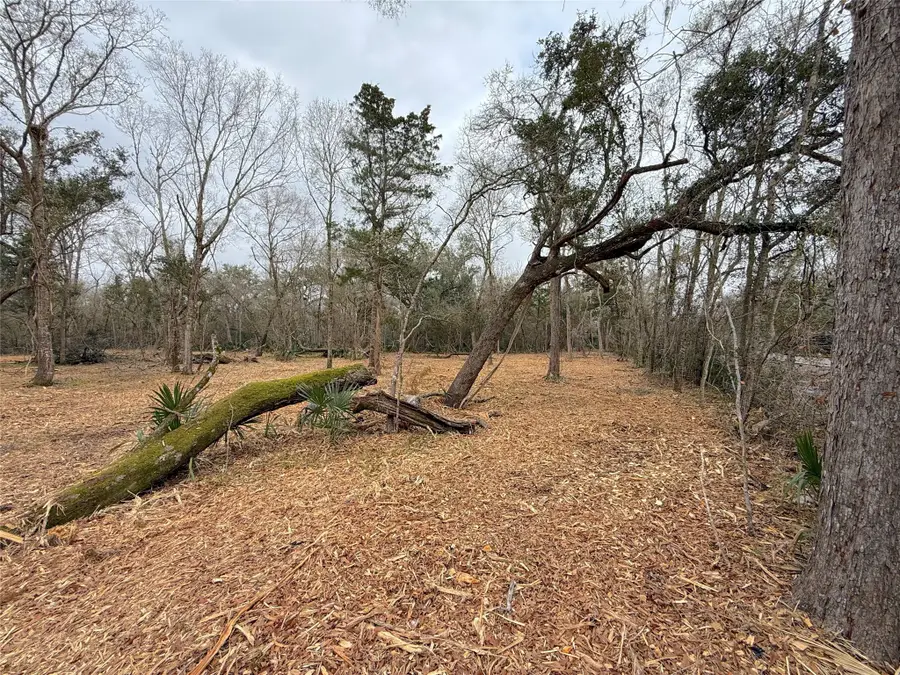 0 Cr 289, Sweeny, TX 77480 - #2