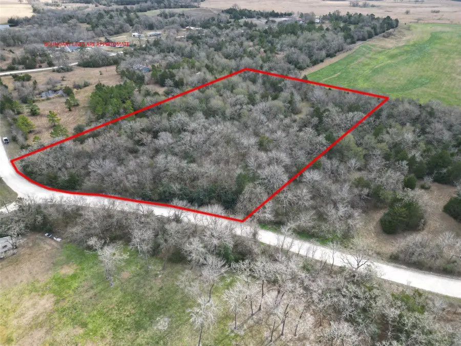 5.003 Acres Winding Meadow Drive, Bedias, TX 77831 - Image #2