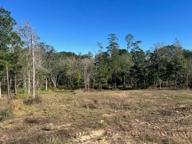 TDB LOT 29 Addison Rd, Livingston, TX 77351 - #2