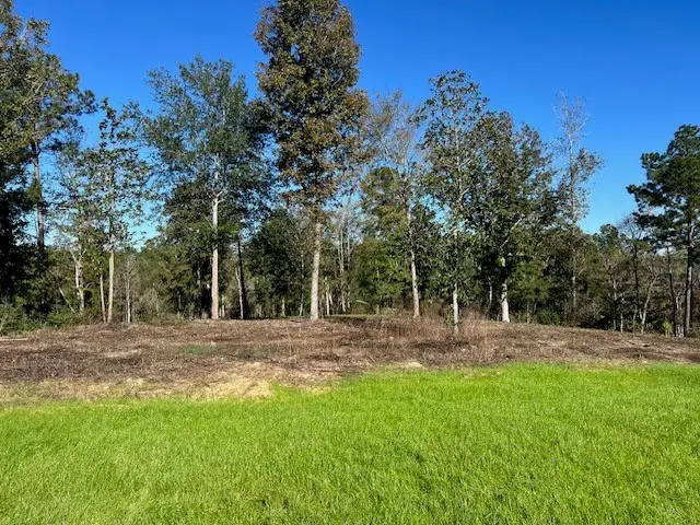TDB LOT 29 Addison Rd, Livingston, TX 77351 - #3