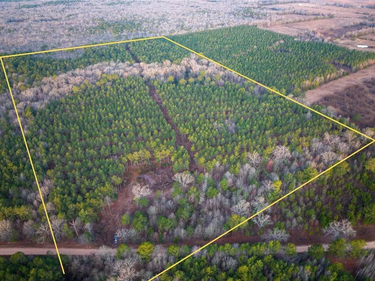 000 County Road 4320, De Kalb, TX 75559 - Image #1