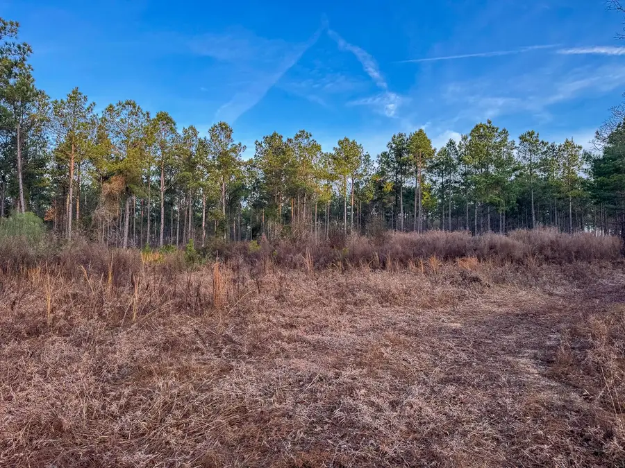 000 County Road 4320, De Kalb, TX 75559 - Image #2