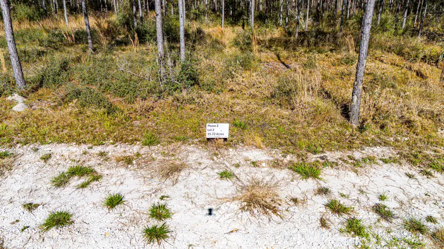 022 Magnolia Ranch Road, Onalaska, TX 77360 - Image #3