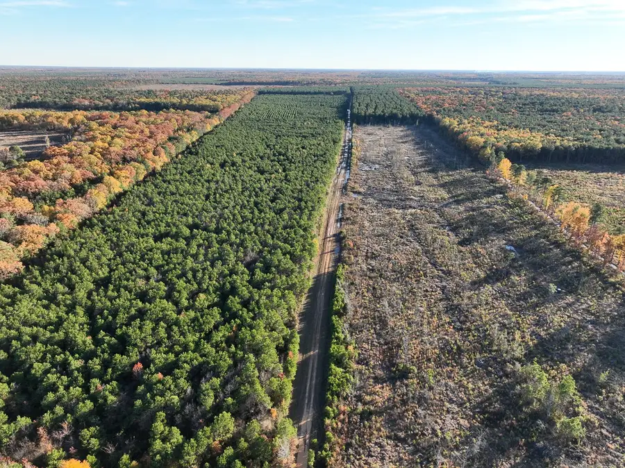 0 Fm 2120, Bagwell, TX 75426 - Image #2