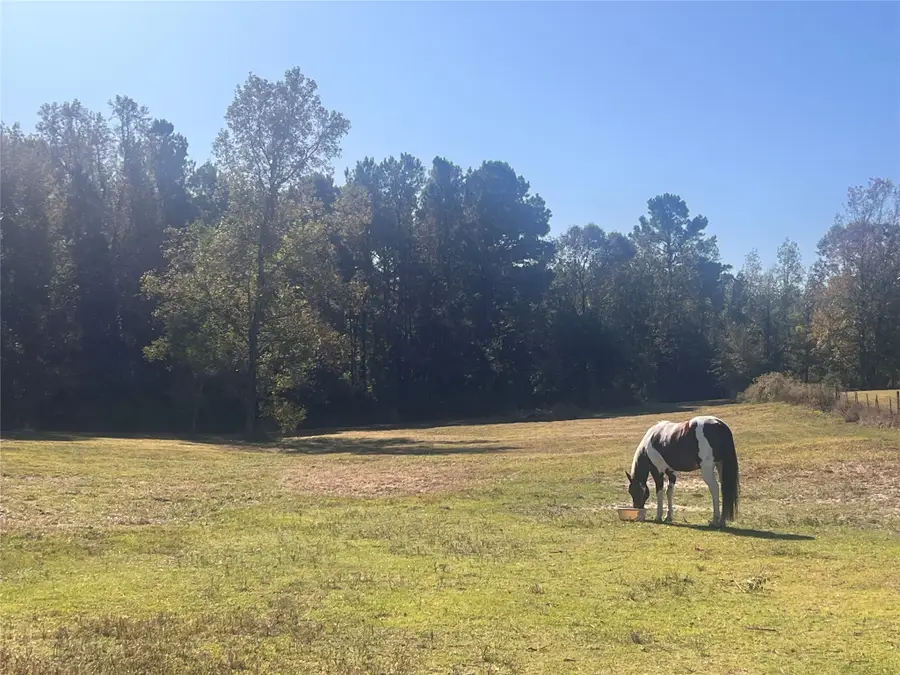 9953 Chestnut Court, Montgomery, TX 77316 - #3