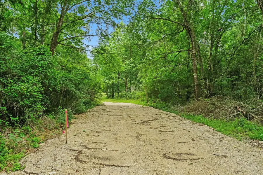 10000 Bentley Drive, Hockley, TX 77447 - Image #2