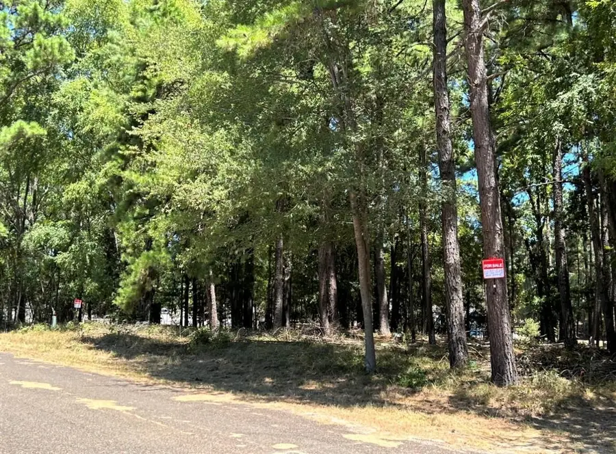 0 Willowick Lane, Livingston, TX 77351 - #2