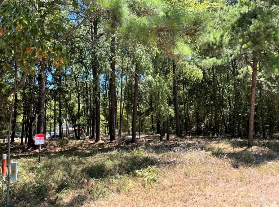 0 Willowick Lane, Livingston, TX 77351 - #3