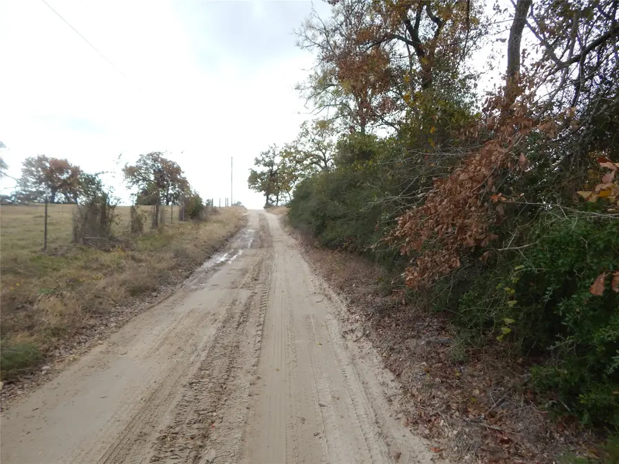 8537 Berger Easement, Anderson, TX 77830 - Image #3