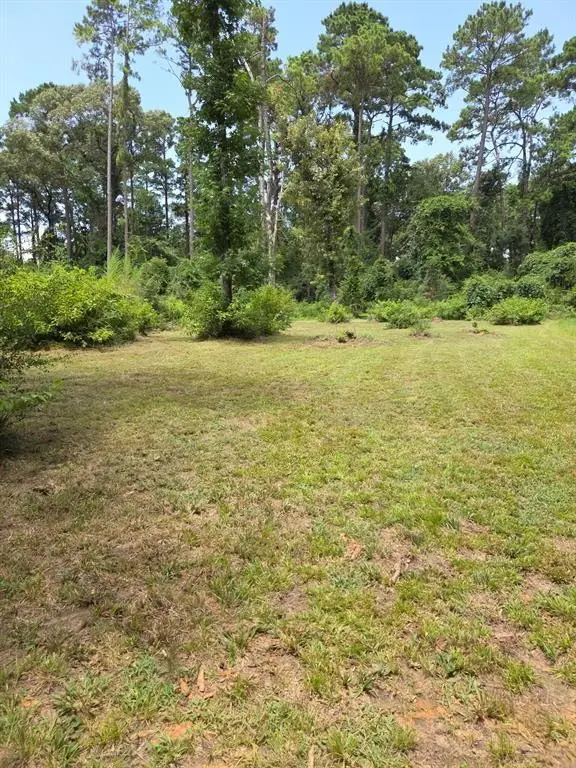 28 Oak Pine Drive, Livingston, TX 77351 - #2