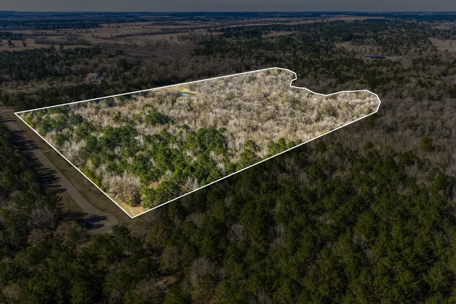 5280 Whitaker Way, Anderson, TX 77830 - Image #2