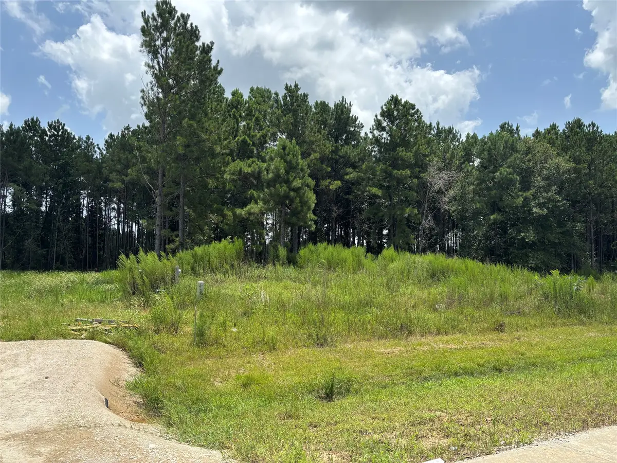 9056 Road 5503, Cleveland, TX 77327 - #1