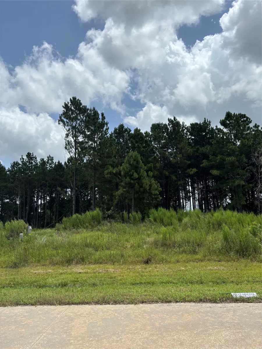 9056 Road 5503, Cleveland, TX 77327 - #3