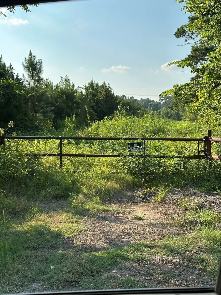 0 Amberwood, Dobbin, TX 77356 - #2