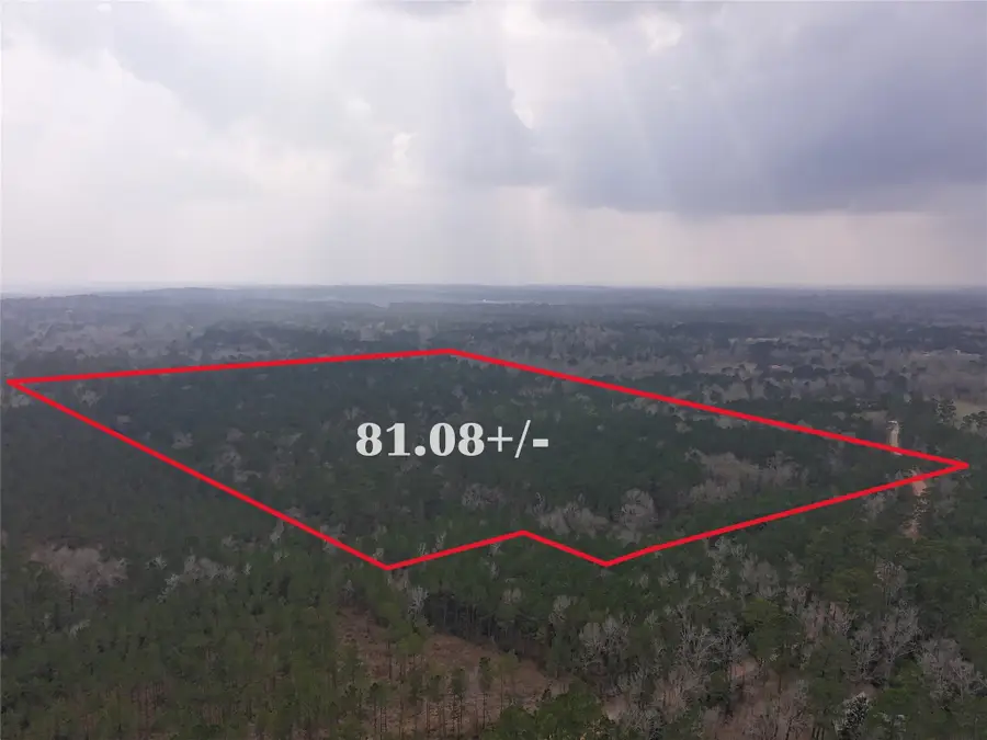 TBD Oakdale Loop, Livingston, TX 77351 - #2