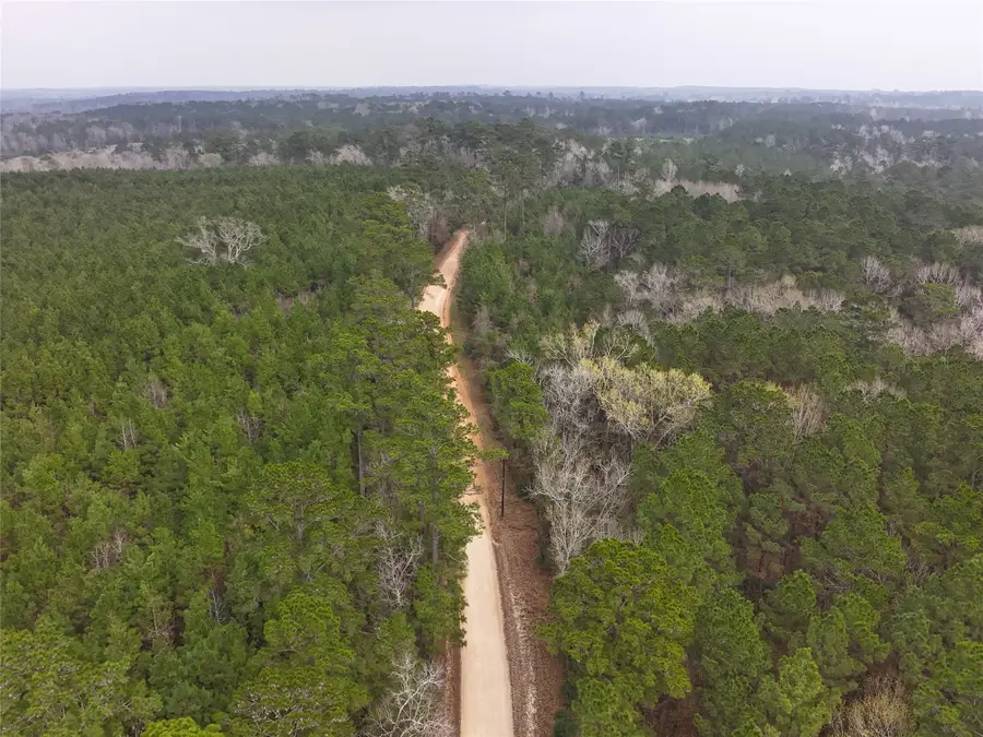 TBD Oakdale Loop, Livingston, TX 77351 - #3