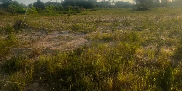 0 Center St, Waller, TX 77484