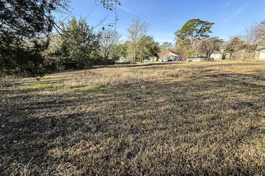 Lot 47B Normal Park Drive, Huntsville, TX 77320 - #2