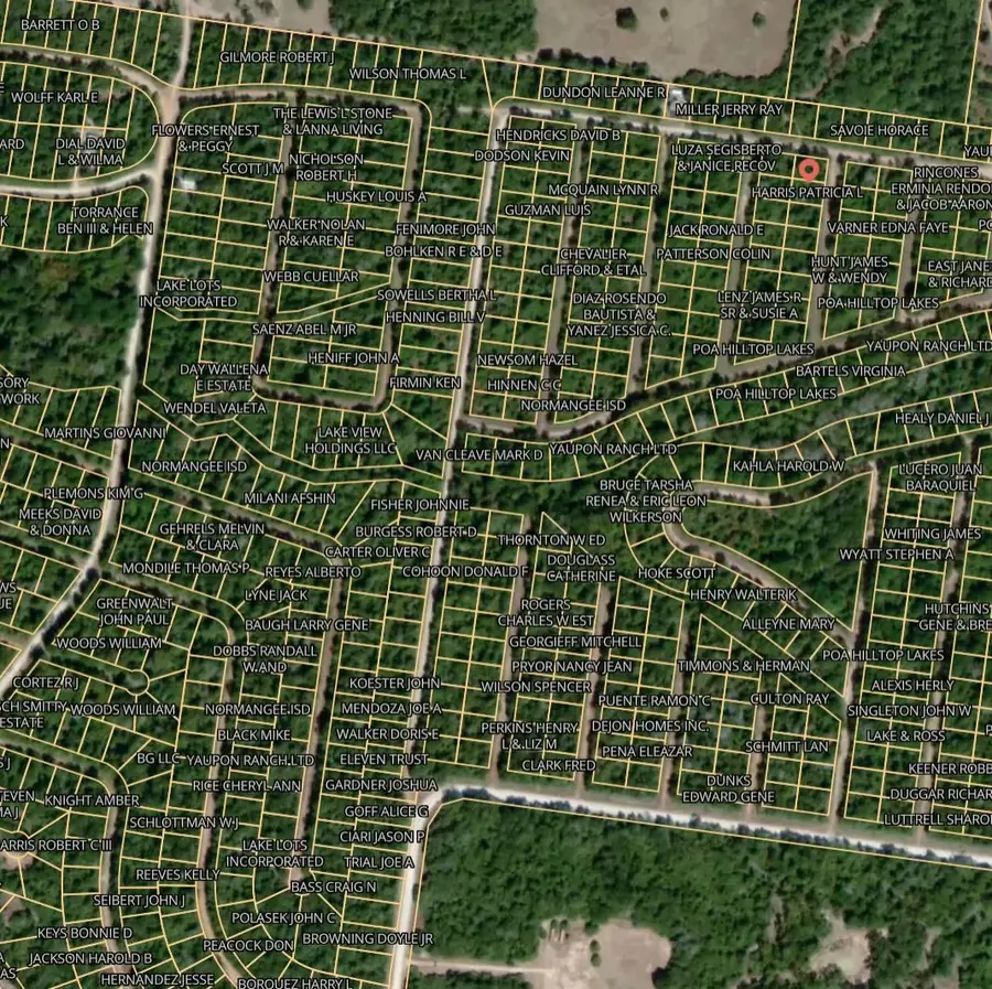 Lot 1 Alamo, Normangee, TX 77871 - Image #3