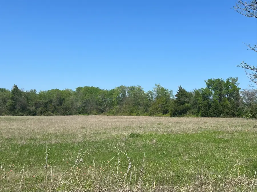 Lot #5 Fm 2562 And Cr 218 Road, Anderson, TX 77830 - Image #3