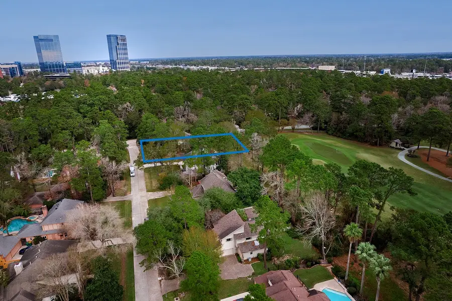 2 Box Turtle Lane, The Woodlands, TX 77380 - #3