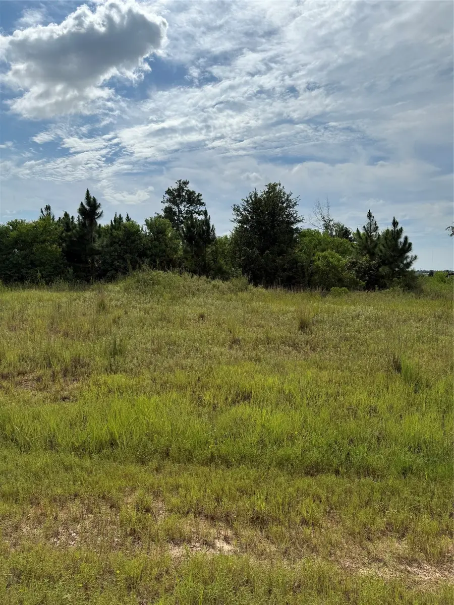 298 Road 5601, Cleveland, TX 77327 - #2