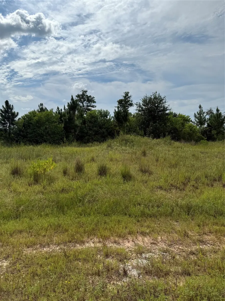 298 Road 5601, Cleveland, TX 77327 - #3