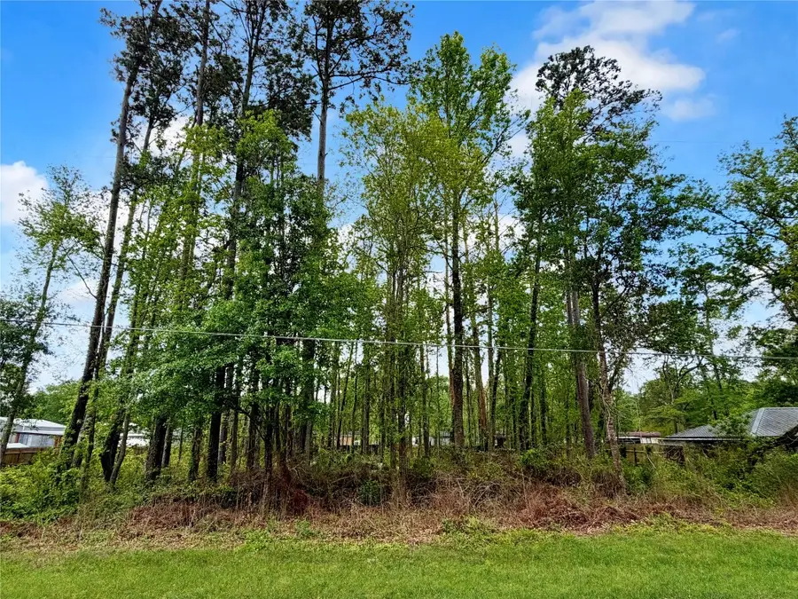 103 County Road 432, Dayton, TX 77535 - #3