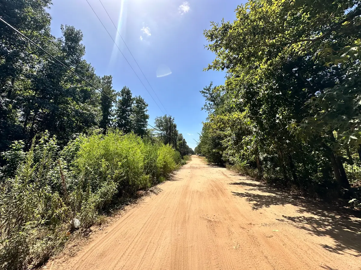 Lot 669 Dogwood Trail, Mineola, TX 75773 - #1