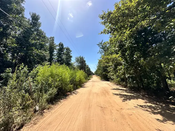 Lot 669 Dogwood Trail, Mineola, TX 75773