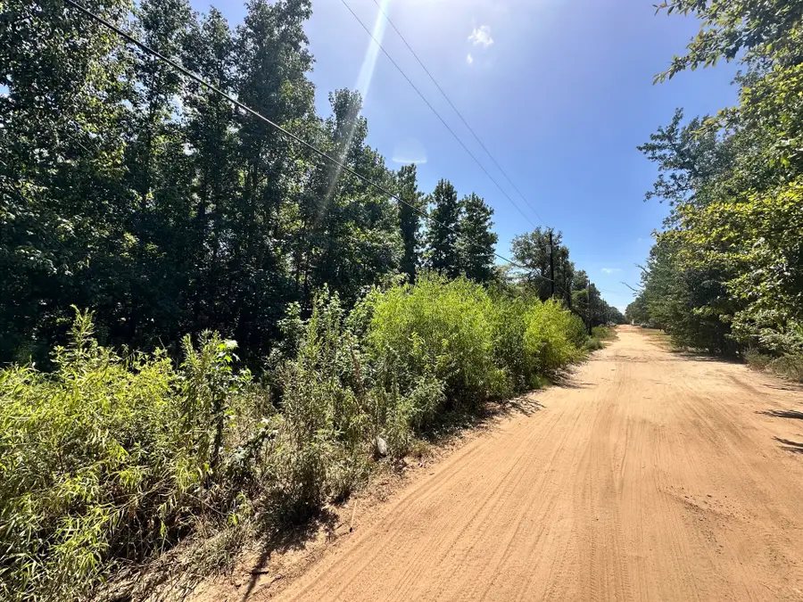 Lot 669 Dogwood Trail, Mineola, TX 75773 - #2