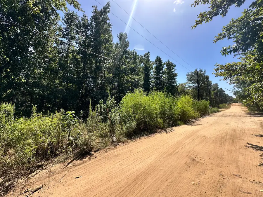 Lot 669 Dogwood Trail, Mineola, TX 75773 - #3