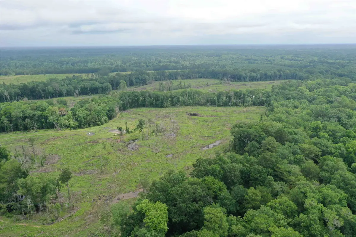 TBD Cr 449- Socagee Creek Road, Carthage, TX 75633 - Image #1